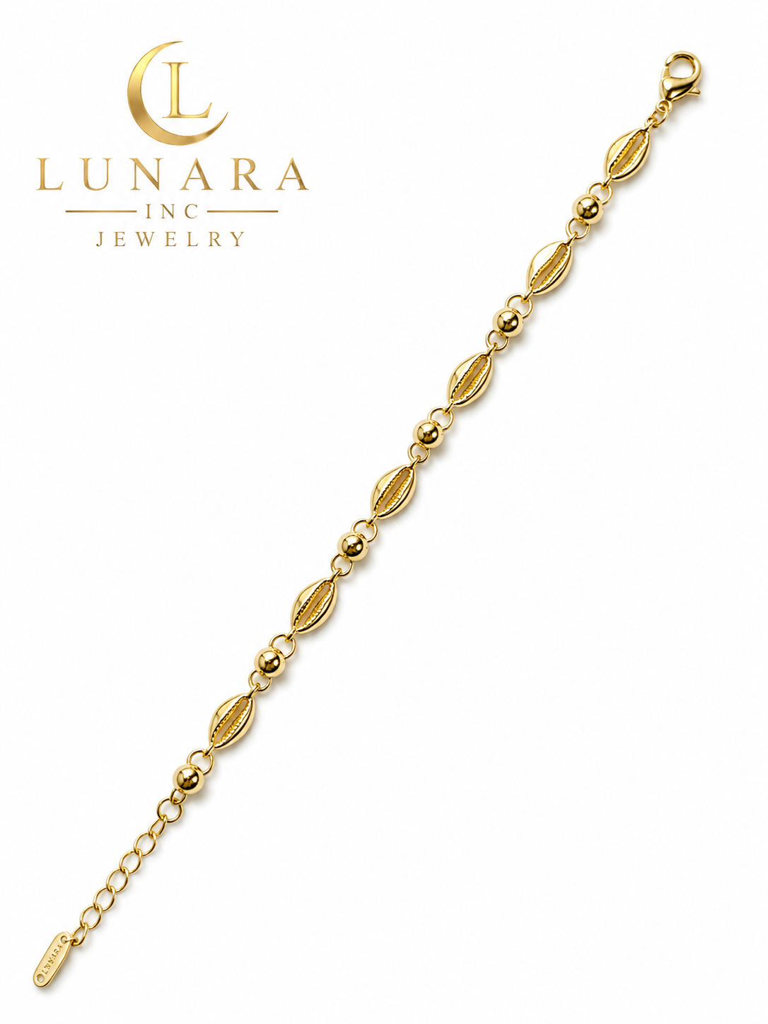 Golden Seashell Link Bracelet